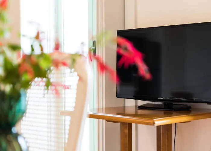 Viva Ilda's Daire Porto